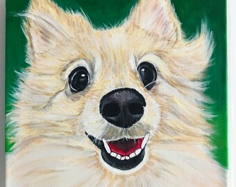 Custom Pet Portrait with solid color background