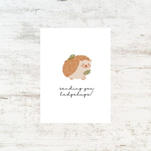 Grußkarte Lustige Freundschaft Igel Nur Sympathie