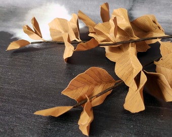 Branche de Hêtre en papier dessiné - Feuille d'automne - Fleur en papier – Fleur artisanale – Fleur dessinée.