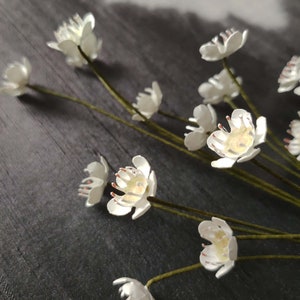PRE-ORDINA Cera in carta disegnata - Fiore di carta - Fiore sostenibile - Fiore fatto a mano - Fiore disegnato.