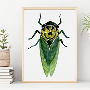 Watercolor Cicada Art Print  |  Insect Illustration |  Brood X  |   8&quot;x10&quot;  |  12&quot; x 16&quot;