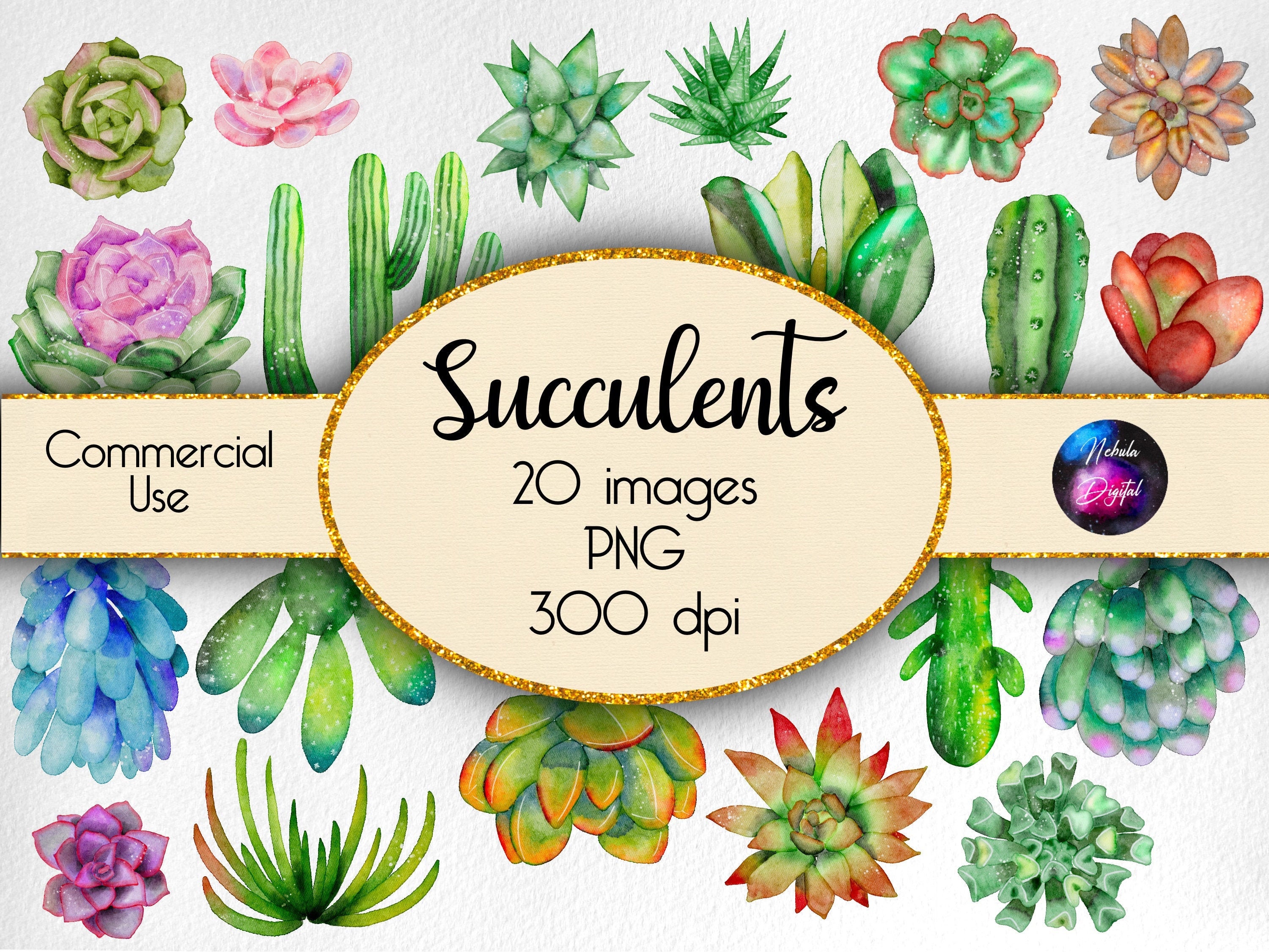 Watercolor Succulents Cactus Textured Clipart Instant Download - Etsy