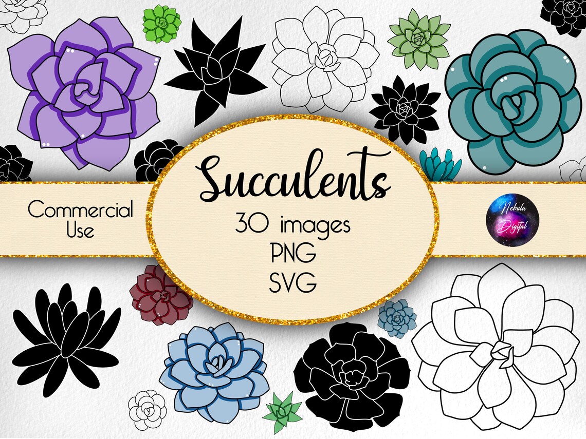 Succulent SVG PNG Vector Clip Art Commercial Use Instant - Etsy