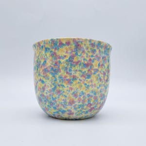 Peut inclure: Un pot en céramique moucheté de forme arrondie. Le pot est recouvert d'un motif de petits points colorés dans les tons de jaune, de bleu et de rose. Le bord du pot est légèrement incurvé.