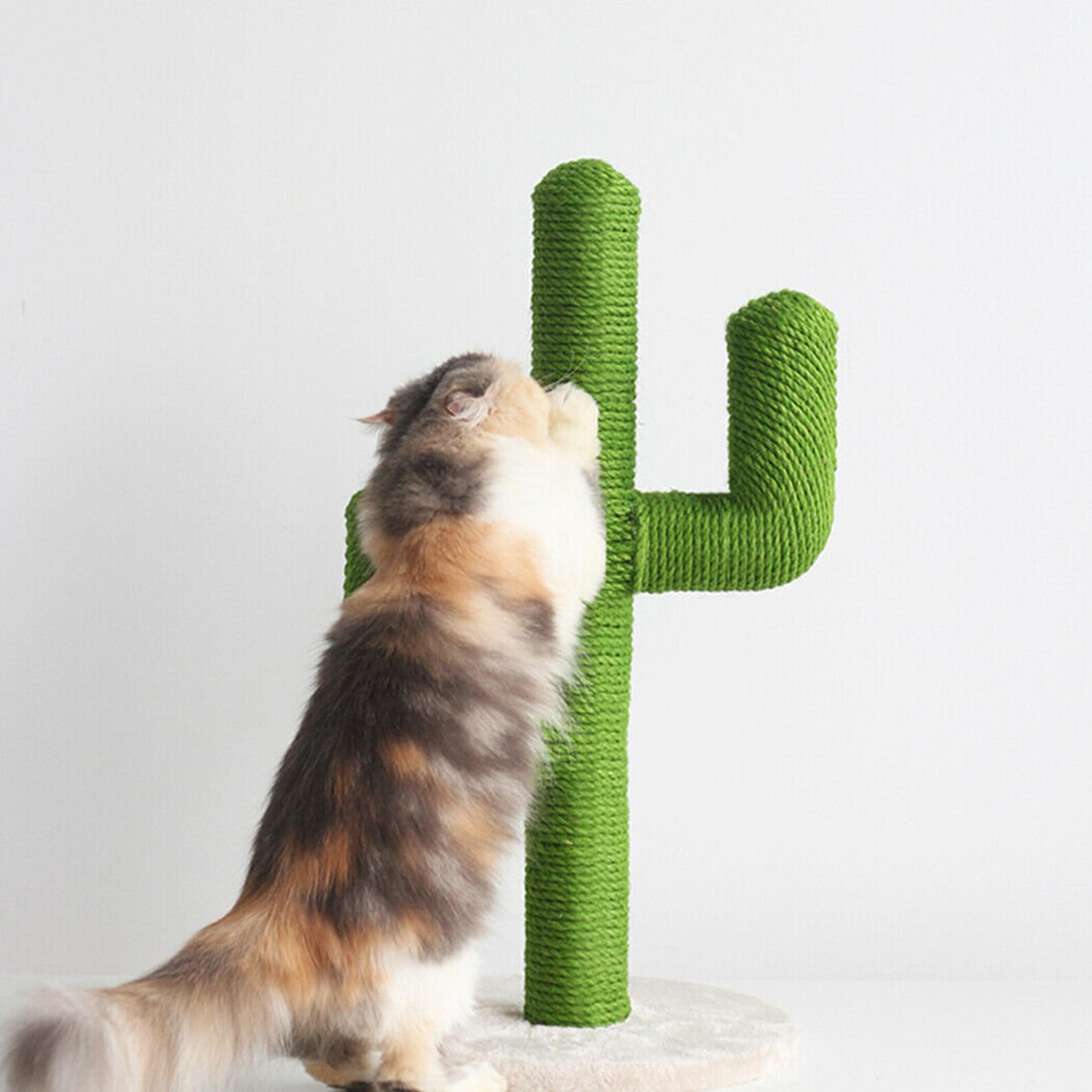 Cat Cactus Scratching Post Cat Cactus Tree Cactus Shaped Etsy