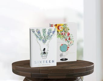 Conjunto de capa dura quinze e dezesseis - LIVROS