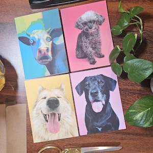 20 Various Blank Greeting Cards Variety Pack Quirky Animals