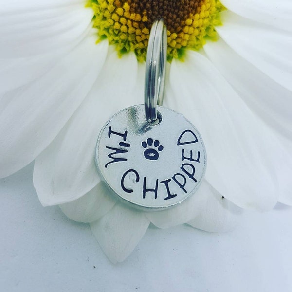 I'm chipped, pet tag / dog tag