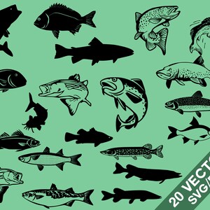 Fish Pack SVG, PNG, Fish clip art, digital files, cricut files, cut files, Fish vector, Fish Rod, Fishes