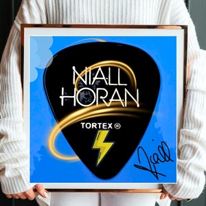 Niall Horan Guitar Pick Etsy