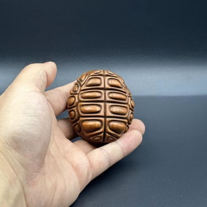 Chinese Antique Wooden Carved Turtle Shell - Etsy