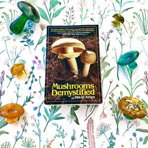 Vintage paperback mushroom reference book 1986 Mushrooms Demystified by David Arora