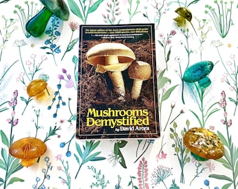 Vintage paperback mushroom reference book 1986 Mushrooms Demystified by David Arora