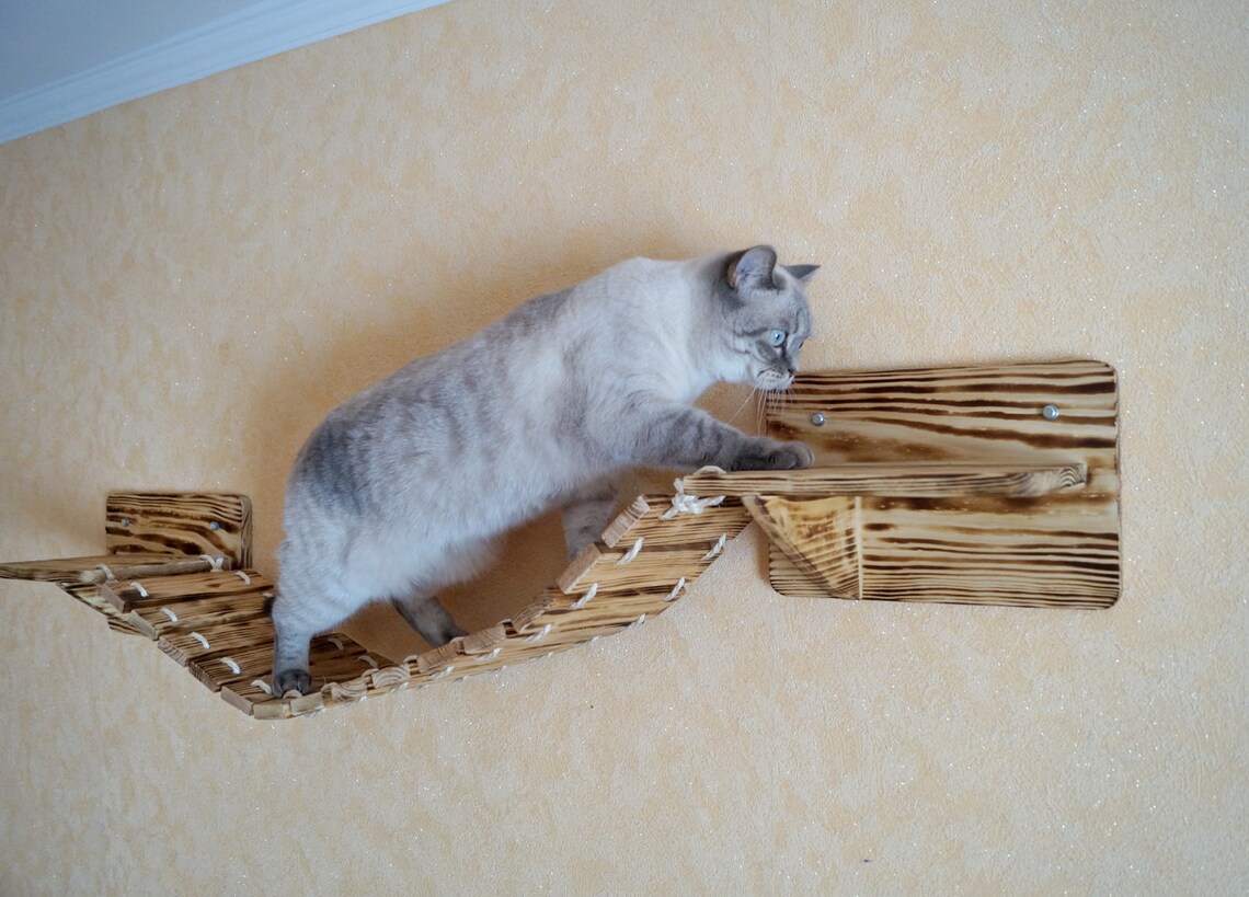 Cat bridge with shelves Cat stairs Cat wall furniture Etsy