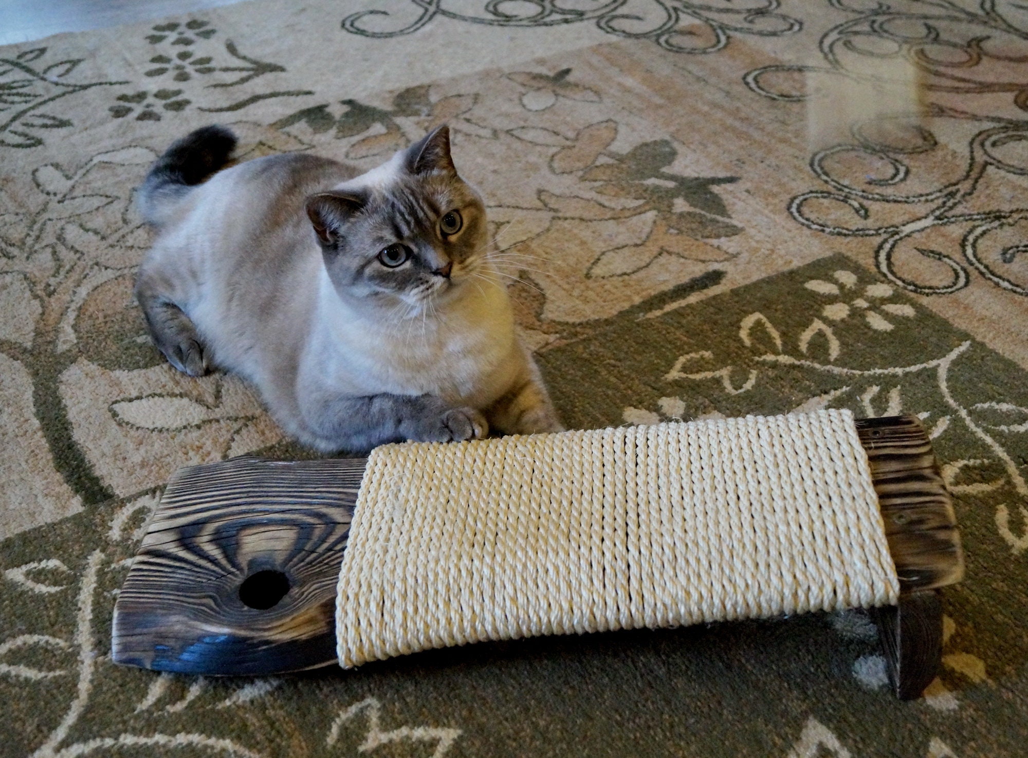 Cat scratcher Cat furniture Cat corner scratcher Reclaimed Etsy