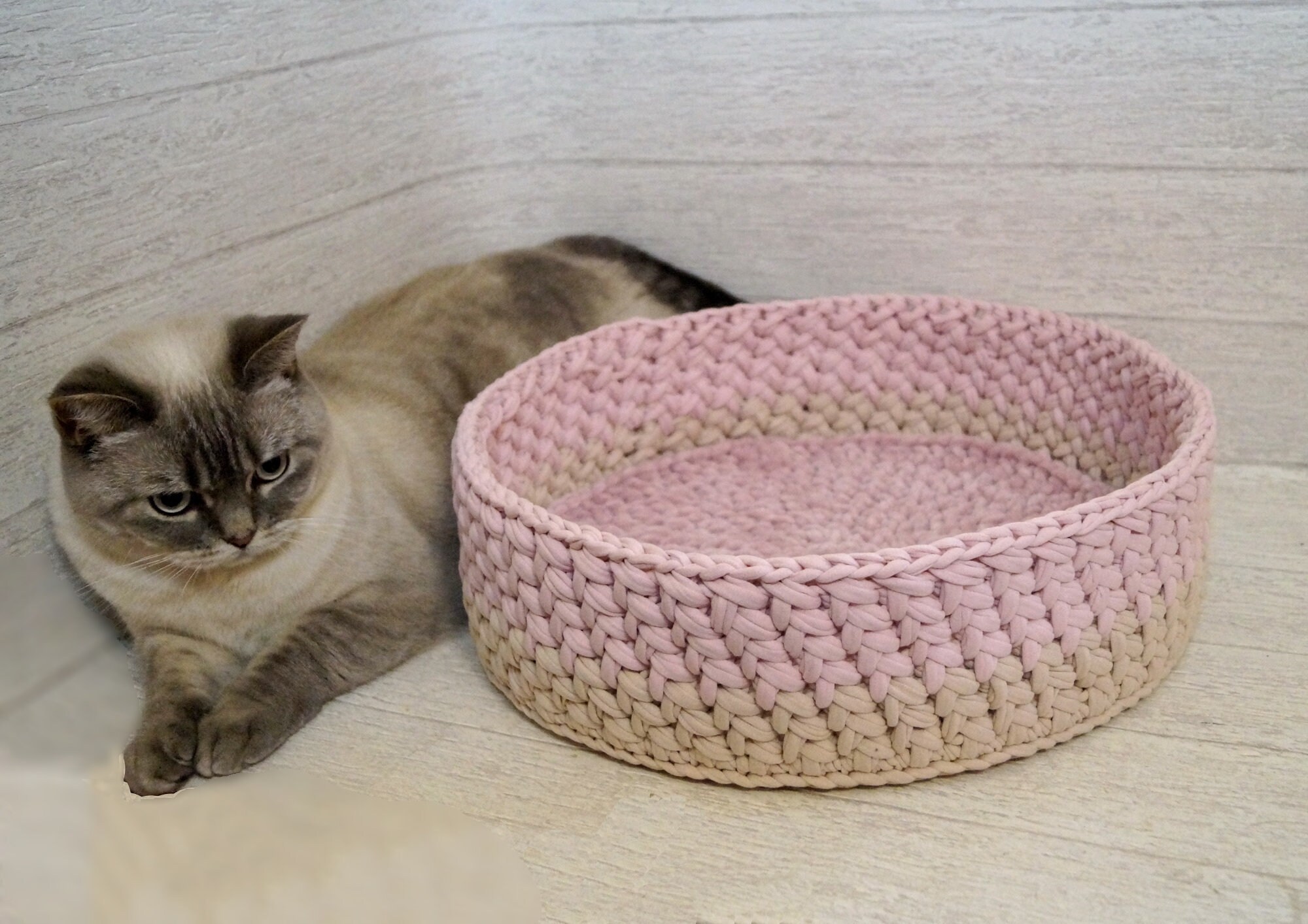 cat basket footwear