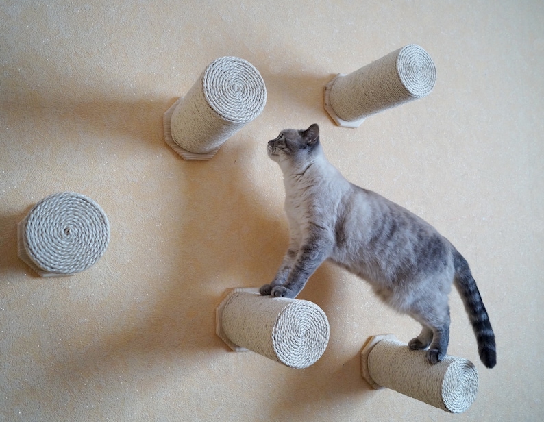 Wand Katze Stufen Katzenmöbel Katze Kletterwand - Il 794xN.2528000331 LlDr