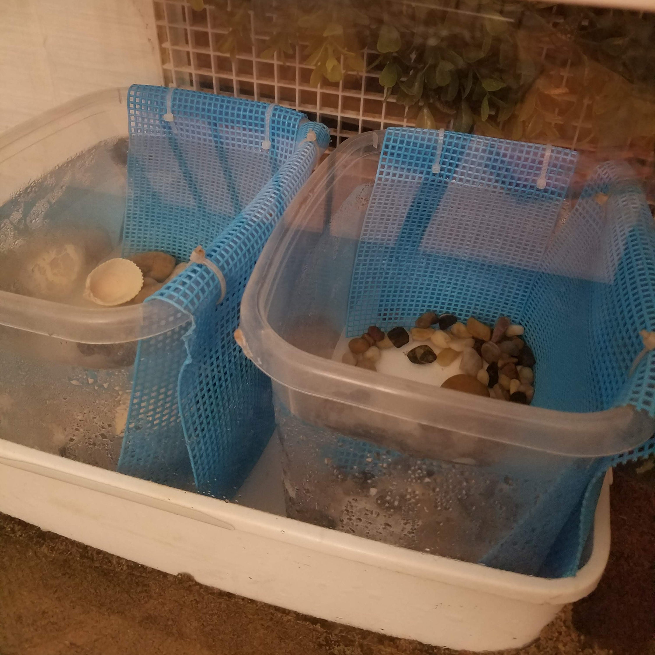 Hermit Crab Climbing Kit Crabitat Tank Decor Plastic Etsy