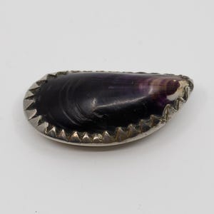 May include: A dark purple shell-shaped object with a silver-colored, sawtooth-edged border. The shell has a glossy finish and a natural, organic shape, likely a decorative item or jewelry component.