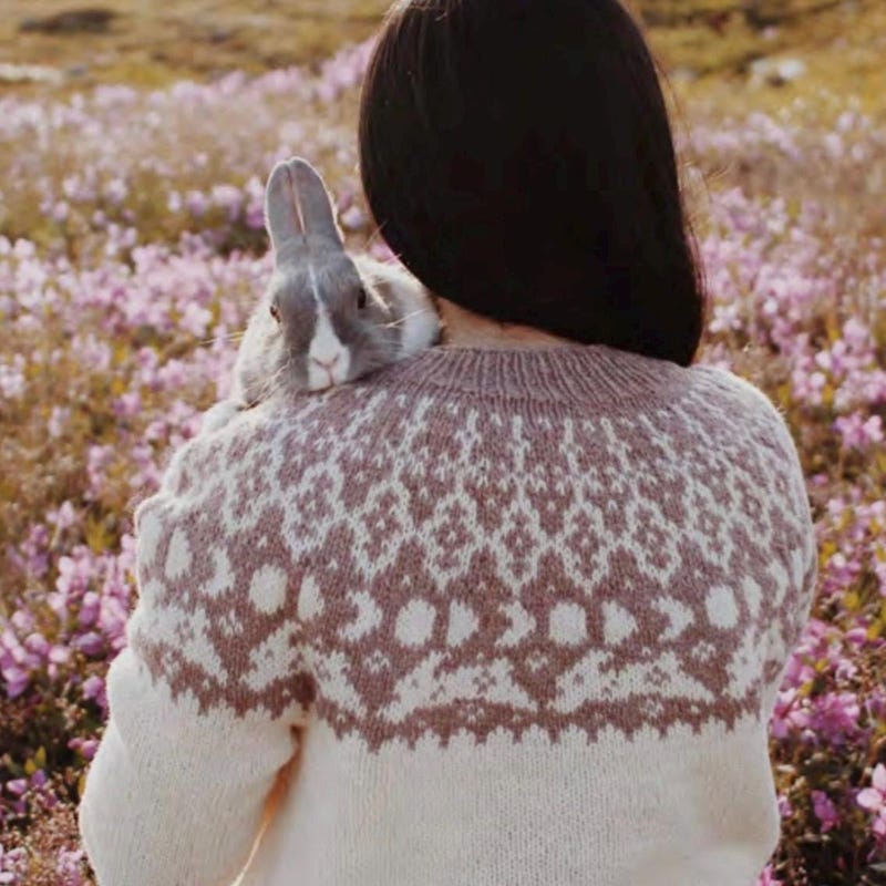 Striped sweater with rabbit