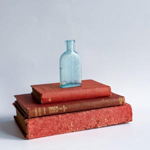 Antique Set of Red Books Red Staging Books Collectible Books Red Book Set Shakespeare Red Books Decorative The Spenders