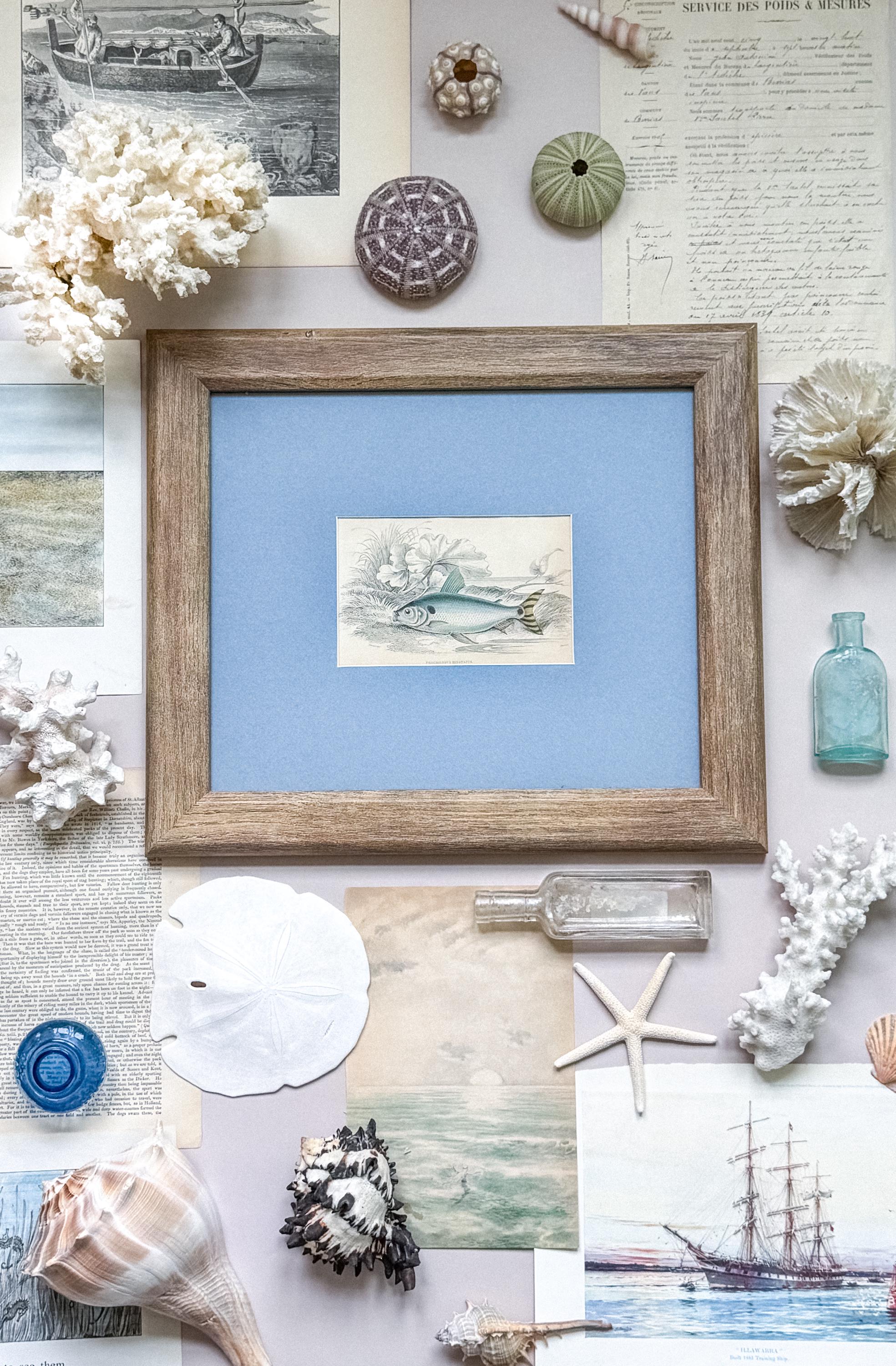 Paragon Picture Gallery - Etsy