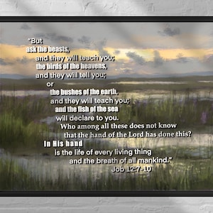 Bible Verse Wall Art, Art mural de l&#39;écriture, Décor de bureau, Impression de l&#39;écriture, Art mural chrétien, Imprimable, Écriture moderne, Job 12: 7-10