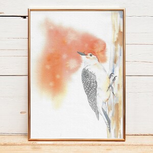 Portrait of a red-bellied woodpecker in watercolor - original