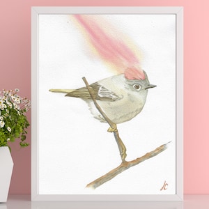 Könnte beinhalten: Aquarellmalerei eines kleinen Vogels mit einer rosa Krone, der auf einem Ast sitzt. Der Vogel blickt nach rechts und hat einen hellbraunen Körper mit dunkelbraunen Markierungen. Der Hintergrund ist weiß.
