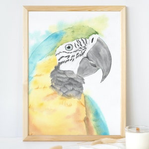 Portrait of a blue and gold macaw ararauna in watercolor - original