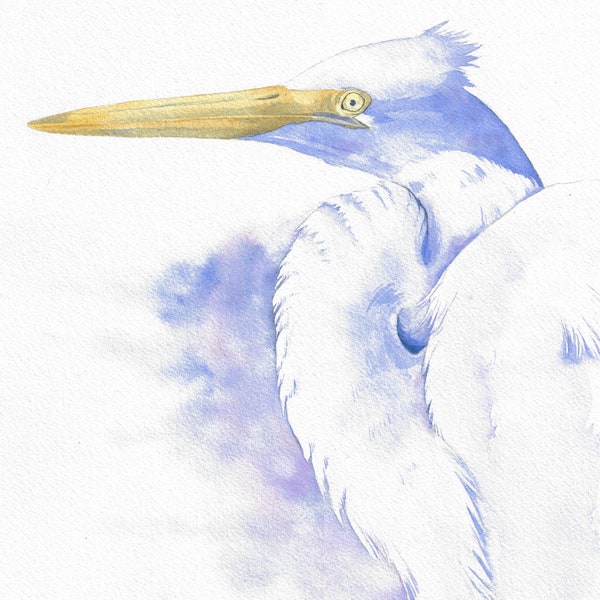 Portrait d'une grande aigrette à l'aquarelle - original