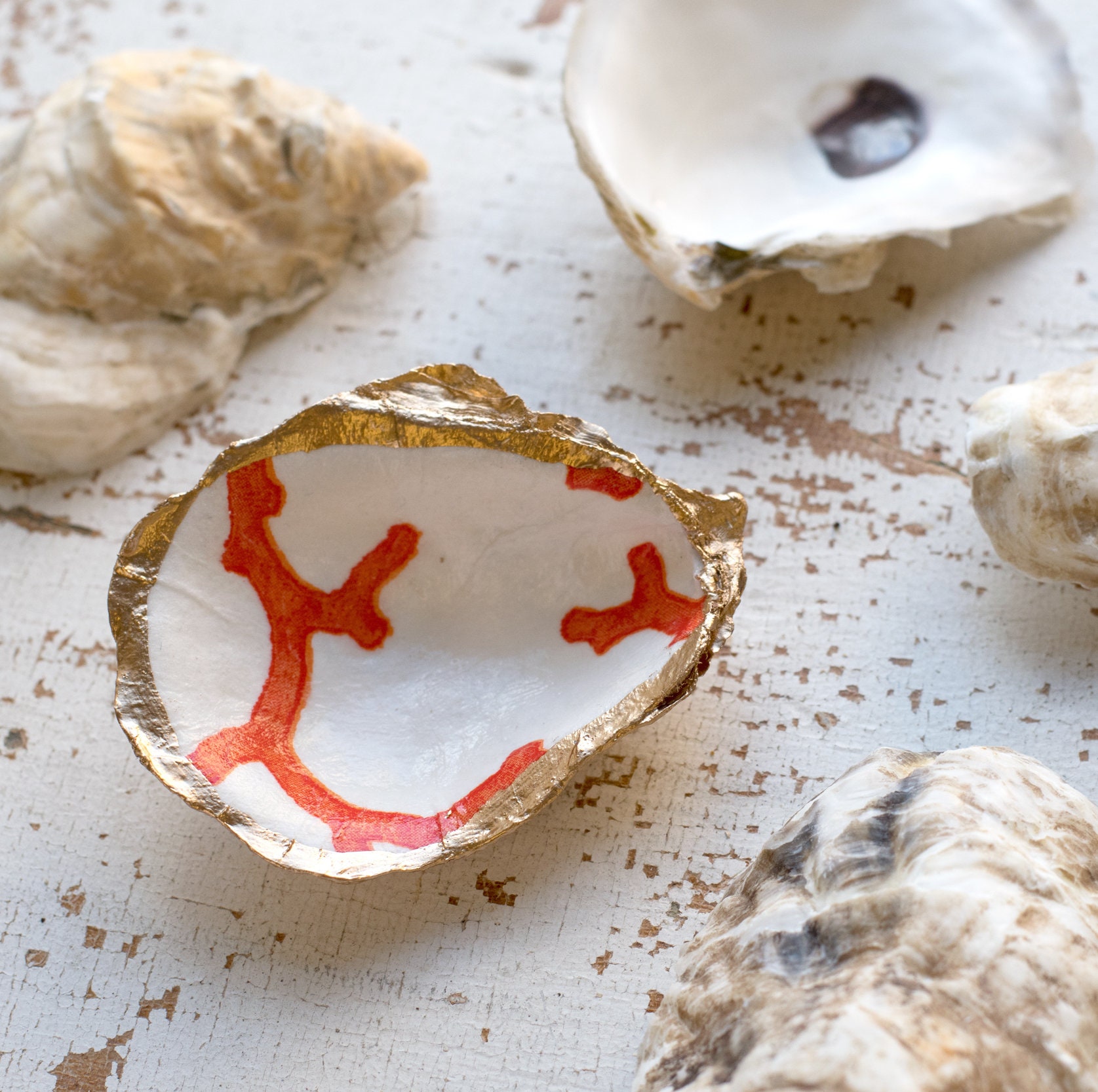 Decoupage Oyster Shell DIY Kit Coral Etsy