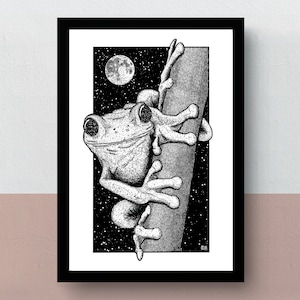 Rainette dans la nuit | Impression A5, A4 ou A3 | œuvres d'art imaginatives | illustration originale d'une grenouille venimeuse profitant de la nuit