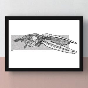 Op de afbeelding: Zwart omkaderde print met een gedetailleerde zwart-wit illustratie van een walvisskelet. Het kunstwerk is geplaatst tegen een lichtgrijze rechthoekige achtergrond, die de skeletstructuur in een wetenschappelijke of artistieke stijl toont.