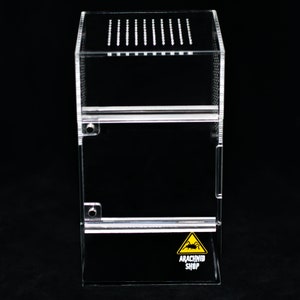 Small Arboreal Solid Top