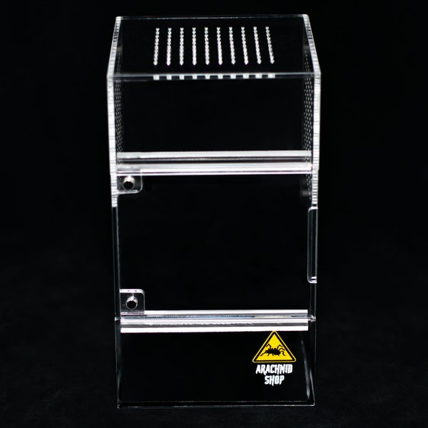 Pequeno topo sólido arbóreo