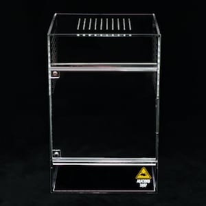 Medium Arboreal Solid Top