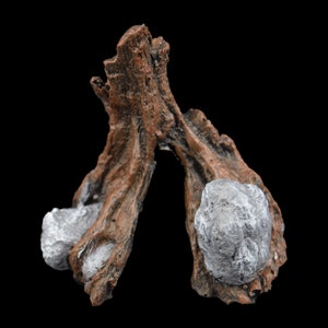May include: A brown wooden tree branch with two gray rocks attached to the ends. The branch is shaped like a triangle and the rocks are round.