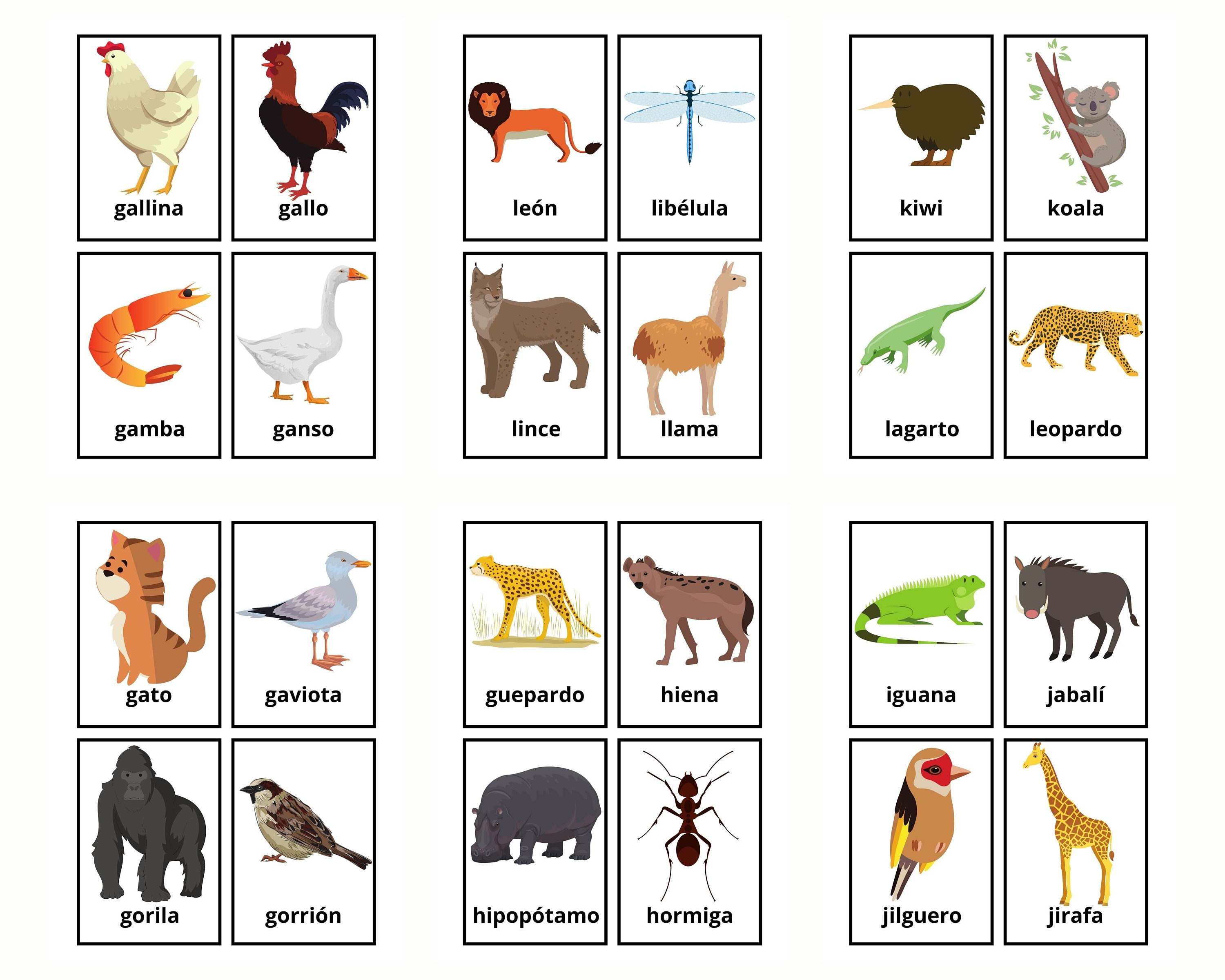 Animal Flash Cards With Fun Facts - Includes Spanish & French Translations For Kids