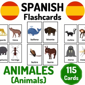 115 flashcard vocabolario spagnolo di animali Animali che imparano lo spagnolo - Apprendimento a distanza a casa - Schede spagnole - Schede flash educative