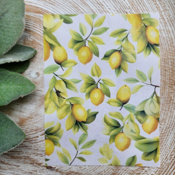 Clay transfer paper / Image transfer paper / Water soluble paper for polymer clay / Lemon transfer sheet / Transfer paper for clay