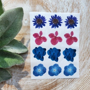 May include: A sheet of pressed flower stickers featuring blue and pink flowers. The stickers are arranged in rows of three.