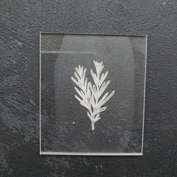 Embossing stamp for polymer clay "Rosemary" Floral texture plate Flower debossing stamp Acrylic stamps