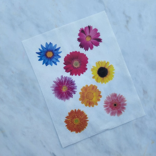 Water-soluble transfer paper for polymer clay craft "Dry flowers"