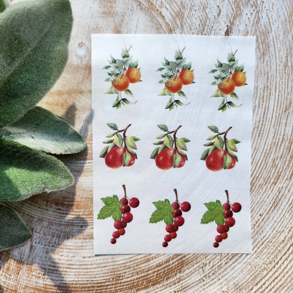 Clay transfer paper / Image transfer paper for clay / Water soluble paper for polymer clay / Fruits pattern transfer sheets