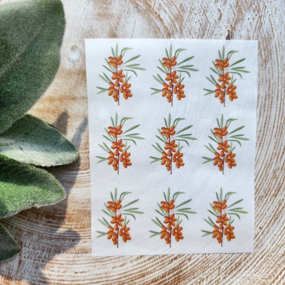 Clay transfer paper / Image transfer paper for clay / Water soluble paper for polymer clay / Sea buckthorn pattern transfer sheets