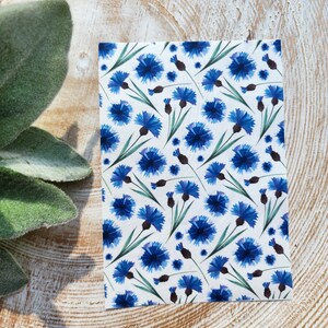 Puede incluir: Un fondo blanco con un patrón repetido de aciano azul. Las flores están estilizadas y tienen un efecto acuarela.