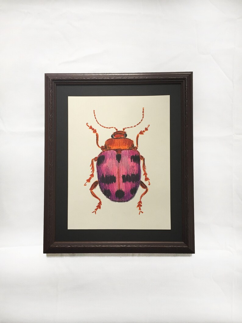 Oil Pastel Beetle Drawing Pink Orange and Black Spotted Etsy