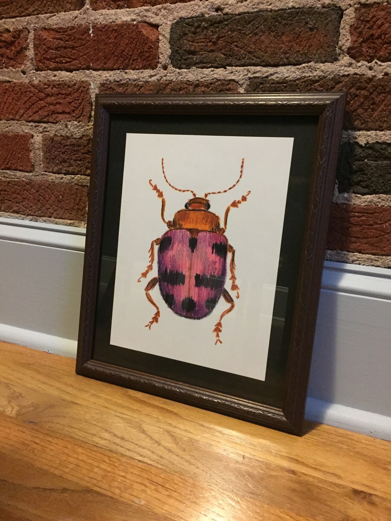 Oil Pastel Beetle Drawing Pink Orange and Black Spotted Etsy