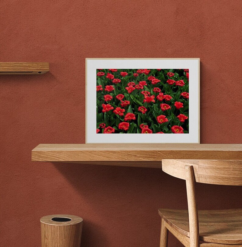 Red Tulips Wall Art | Flower Photo Print | Cafe Floral Art | Home Wall ...